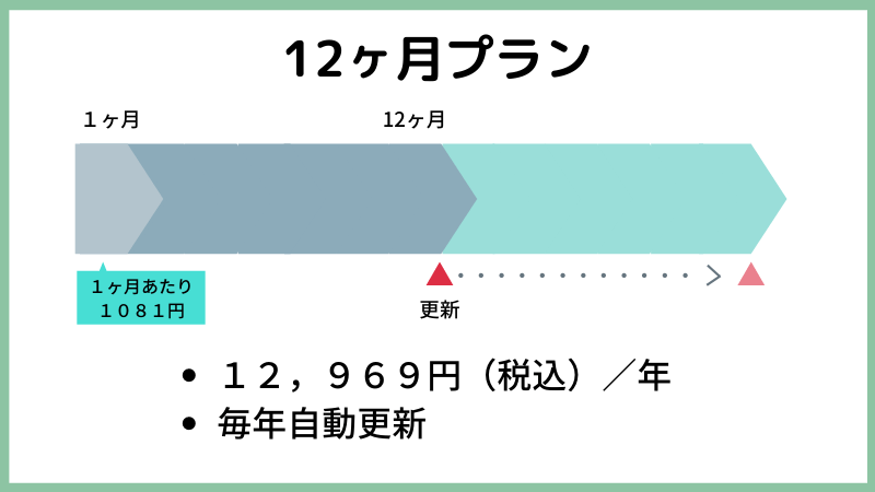 12ヶ月プランは１２９６９円で毎年更新